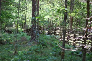 trehorna-hembygdsgard_6
