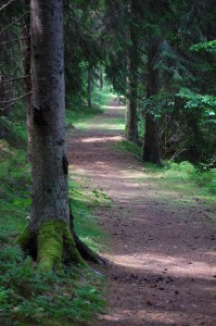 motionsspar_04